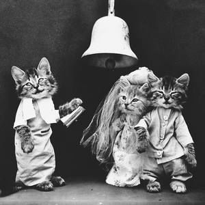 Meet your Posher, Bree